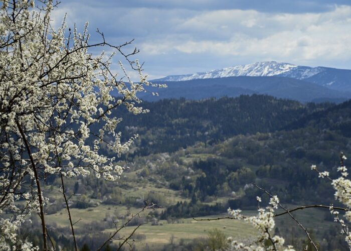 Beskid Makowski