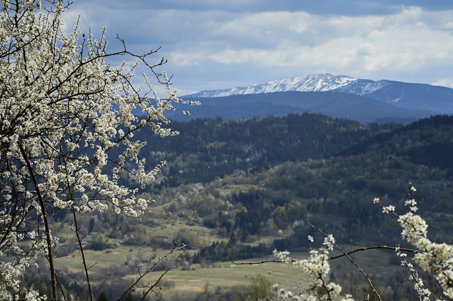 Beskid Makowski