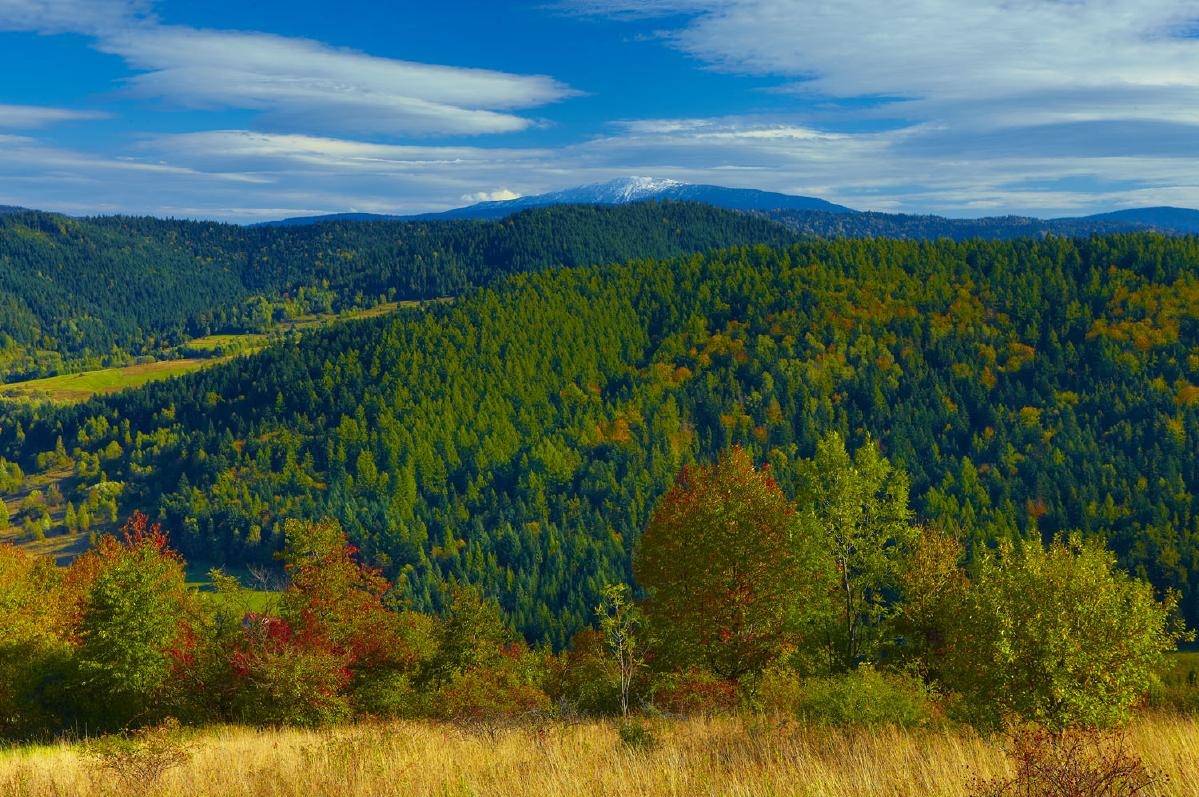 Beskid Mały
