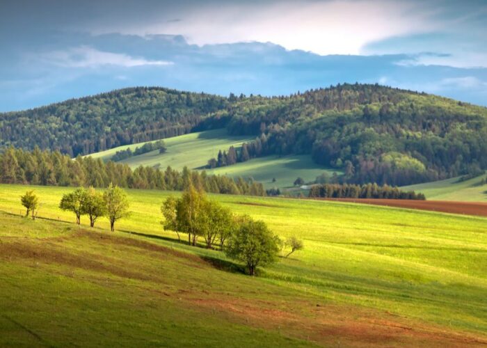 Beskid Sądecki