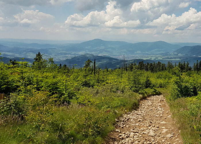 Beskid Wyspowy